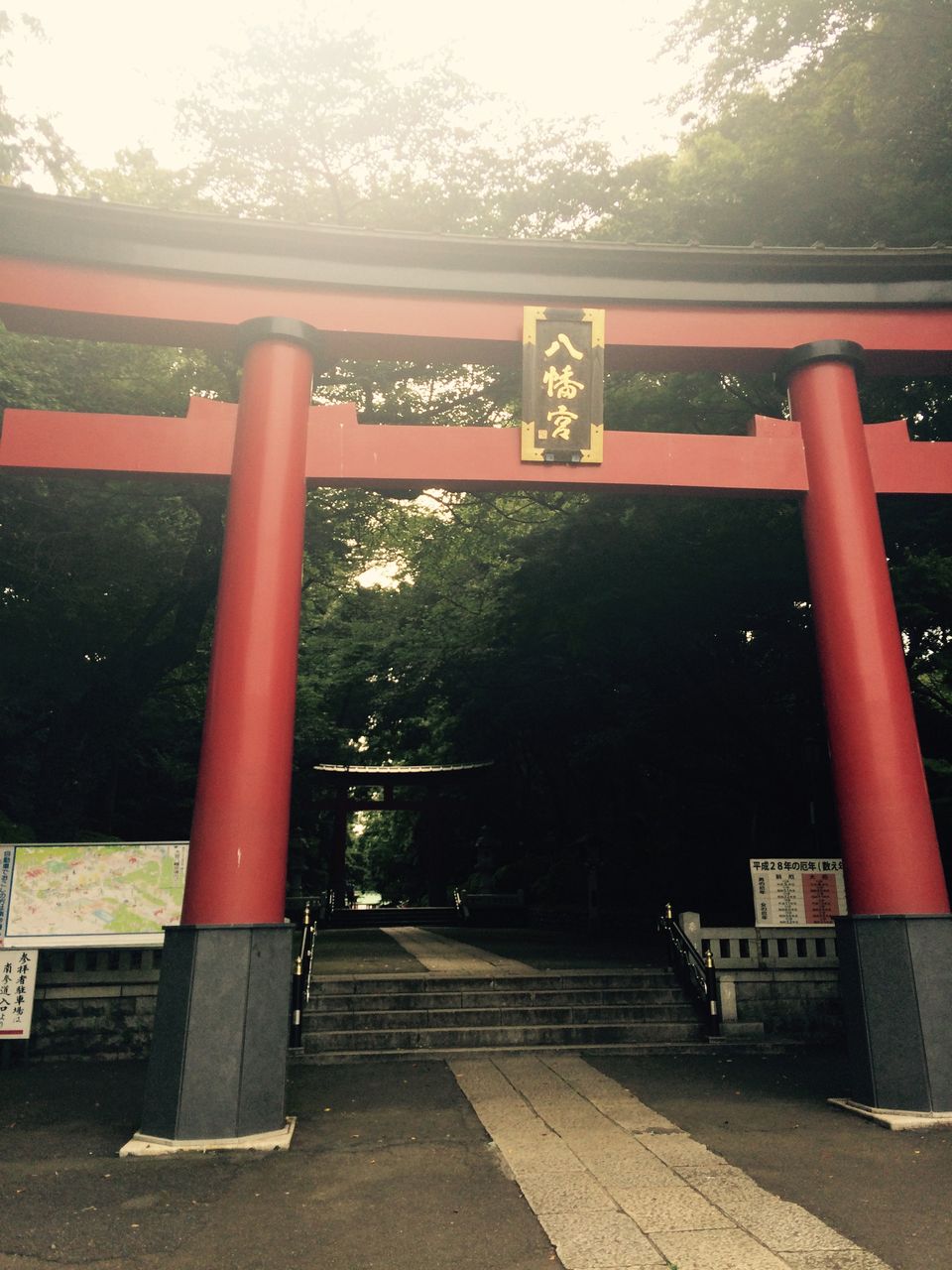 東京のへそ 大宮八幡宮 ぽてとスープが大好きな猫