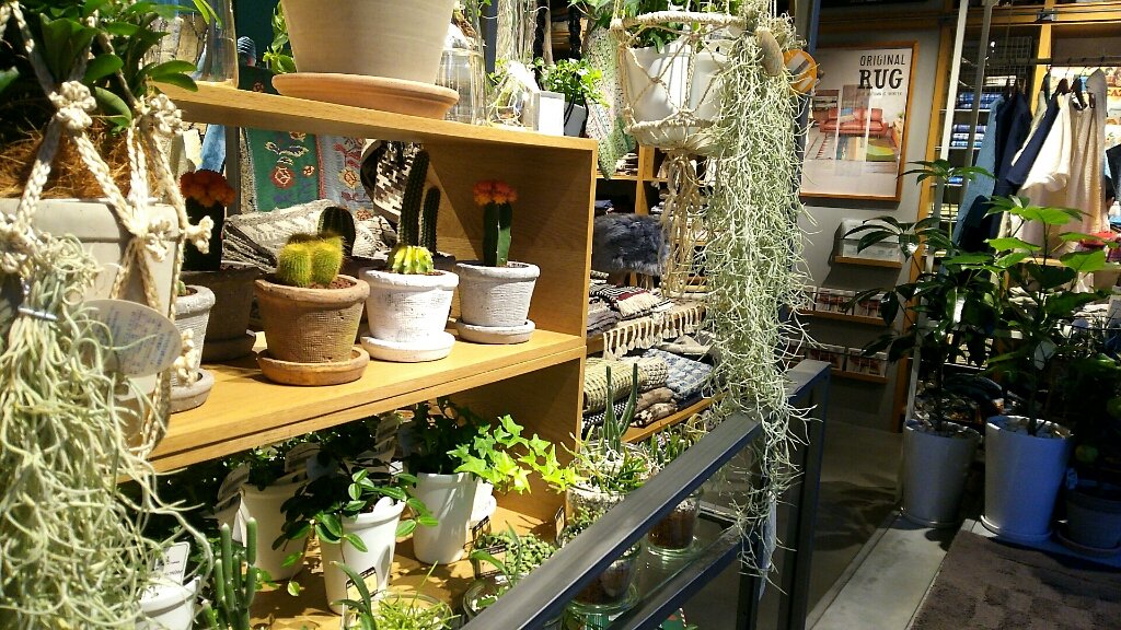 Unicoの新ブランドuniko Loom が自由が丘に１１ ２５open 自由が丘美容師の徒然