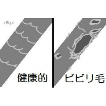 名称未設定のデザイン - 2022-01-11T122400.195