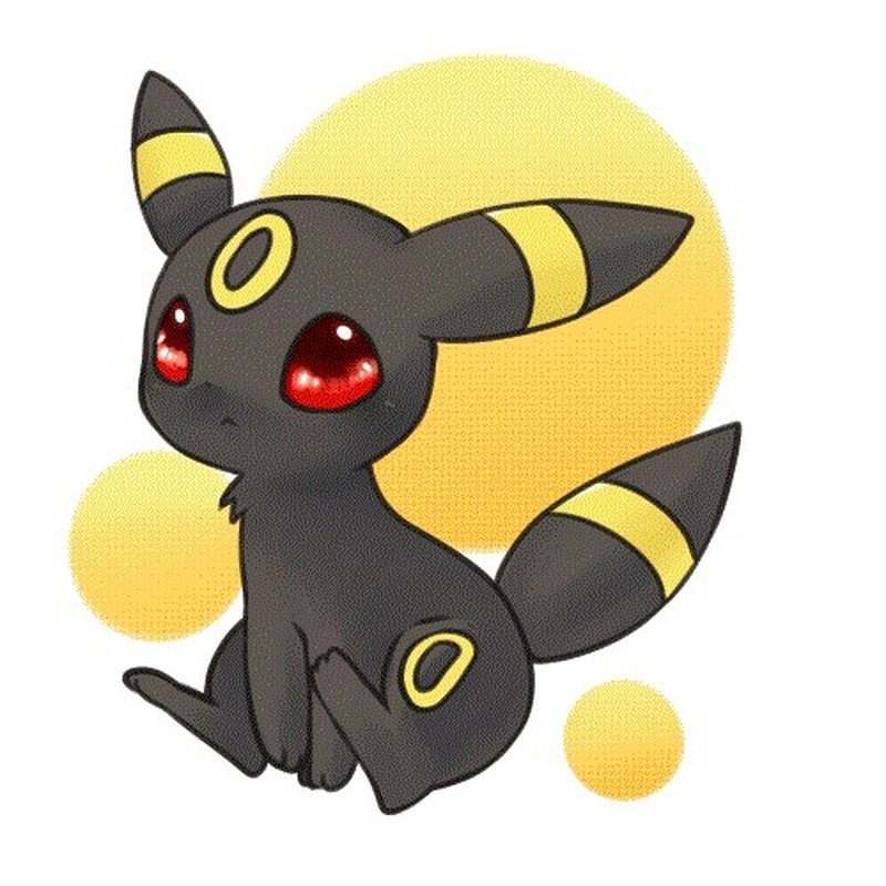 雨の日 寄り道 ポケモン