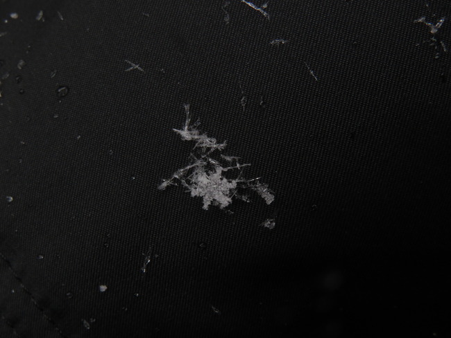 腕に着いた雪の結晶