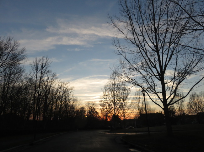 アメリカの空(木と夕日)