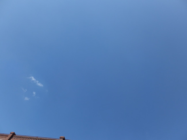 脳腫瘍のない空は綺麗