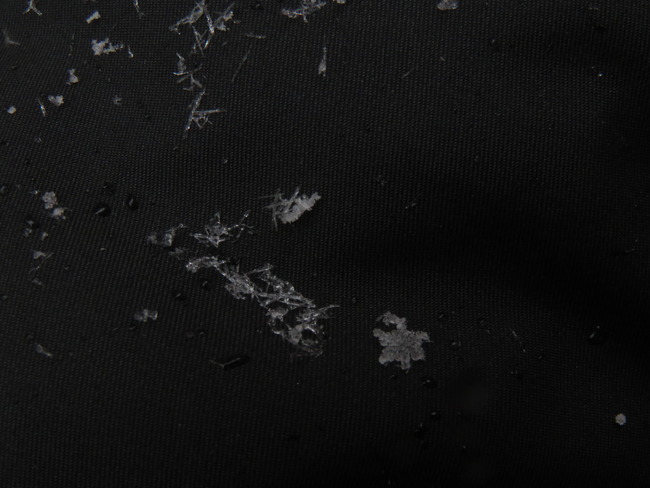 雪の結晶
