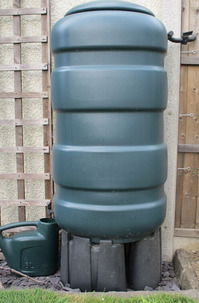 308ac31e.jpg
