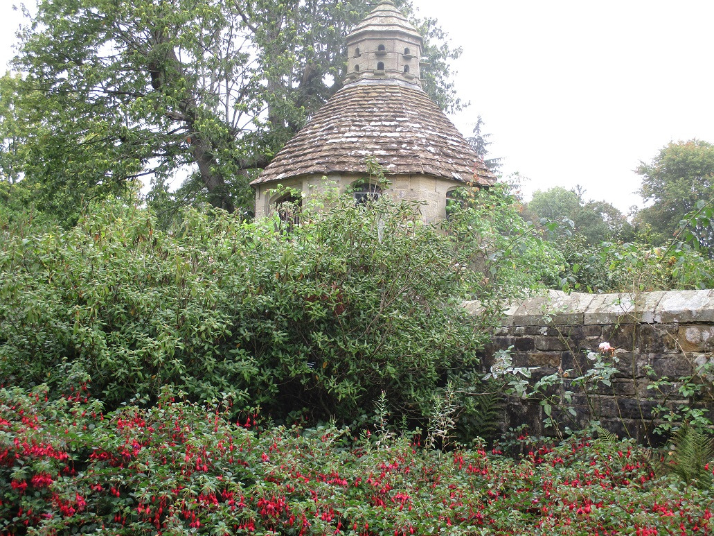 イギリス庭園めぐり 秋のnymans ロンドン郊外の翻訳者生活日記 イギリス庭園めぐり 秋のnymans ロンドン郊外の翻訳者生活日記