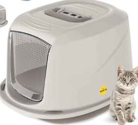 cat toilet