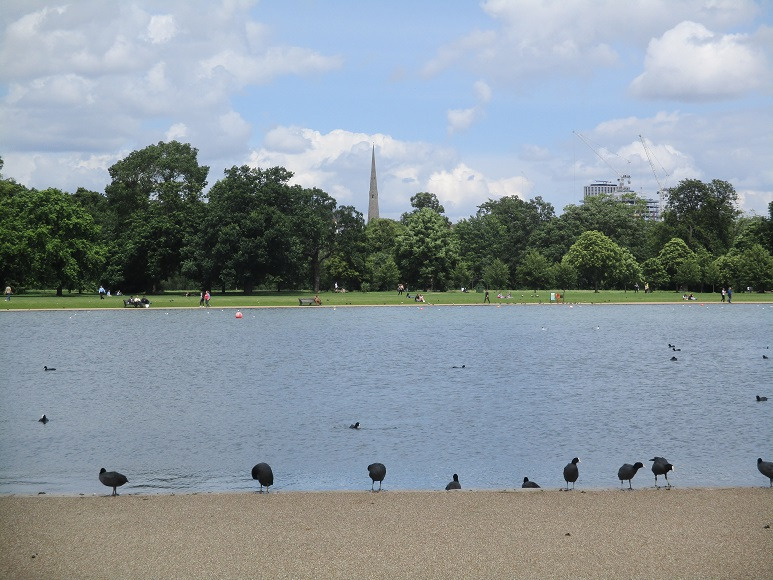 7d46870f.jpg