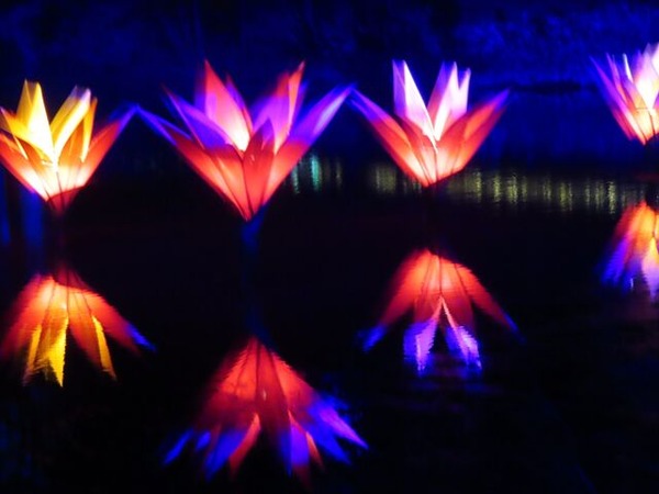 IMG_7241_S