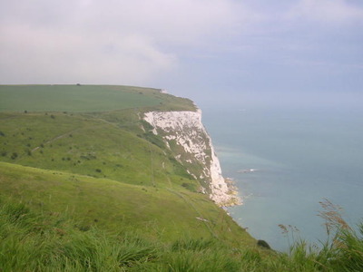 f8668295.jpg