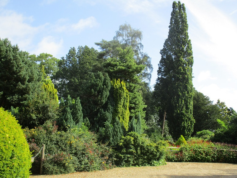 fec3887b.jpg