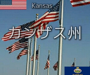 19年11月14日 アメリカ出稼ぎ基礎知識 19年11月14日 アメリカ出稼ぎ基礎知識