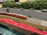 IMG_2305
