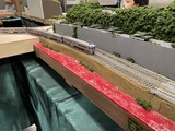 IMG_2323
