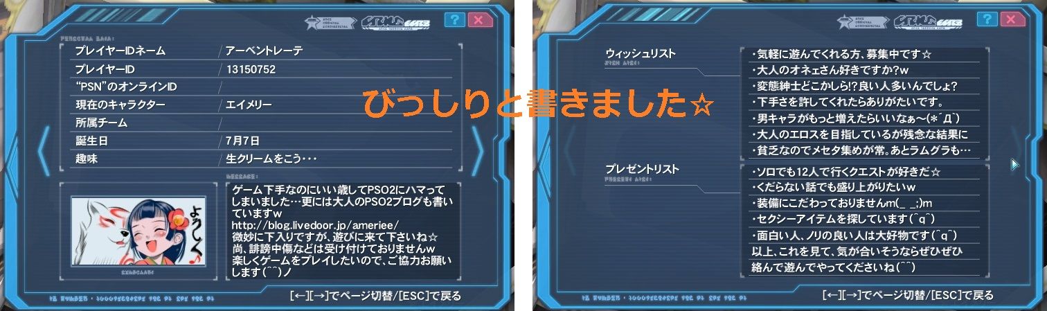 アークスカードとフレンドパートナーを活用しよう 30代女のプレイ Pso2編 アークスカードとフレンドパートナーを活用しよう 30代女のプレイ Pso2編