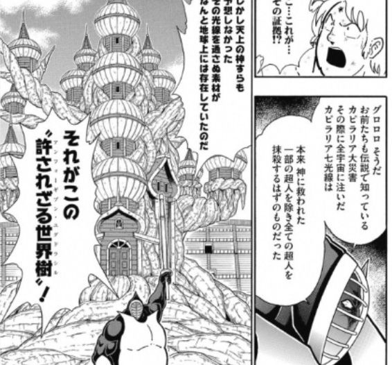 奇跡の神木 百花草庵