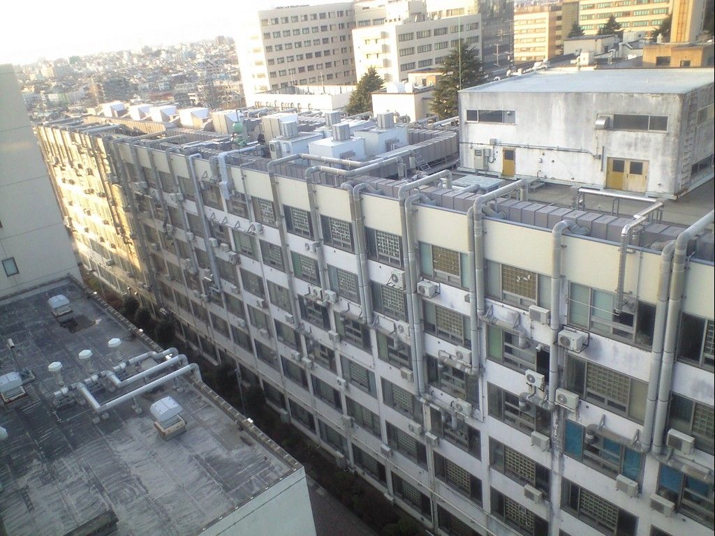 画像 一橋大と東工大のキャンパスが あまりにも違いすぎる件 アメ速