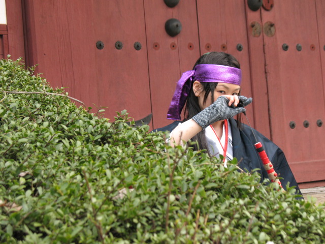 必殺仕事人２００９合わせ お花見編 Amethyst Lotus