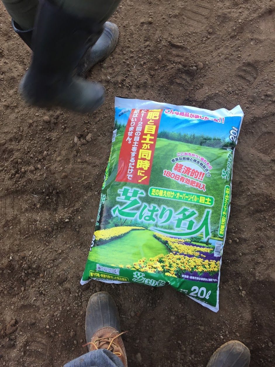 Gwは家族で芝生貼り 貼り方手順 くらしのまとめ