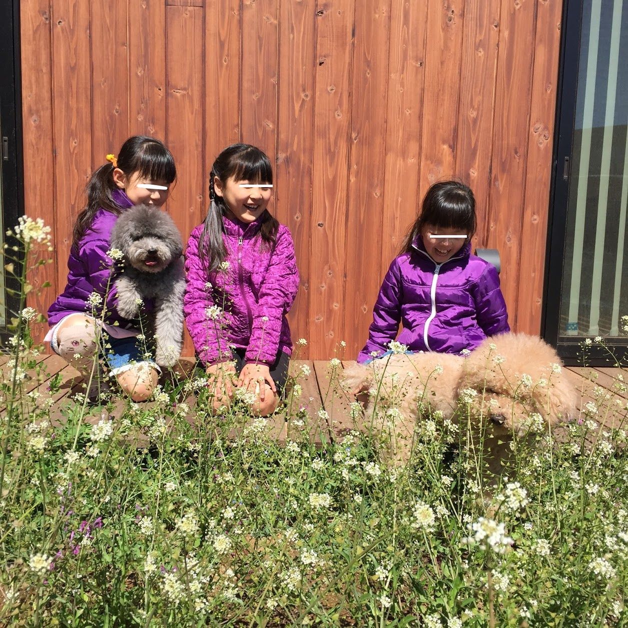 Gwは家族で芝生貼り 貼り方手順 くらしのまとめ