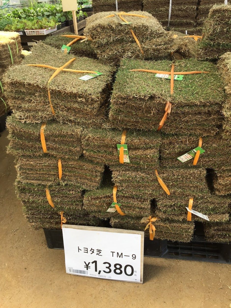 草刈り不要！？魔法のような芝生 ◯◯◯ : くらしのまとめ