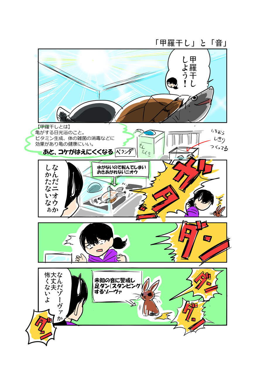 カメは今 何を思う 18 甲羅干し と 音 あみあきひこ漫画描きブログ カメは今 何を思う 18 甲羅干し と 音 あみあきひこ漫画描きブログ