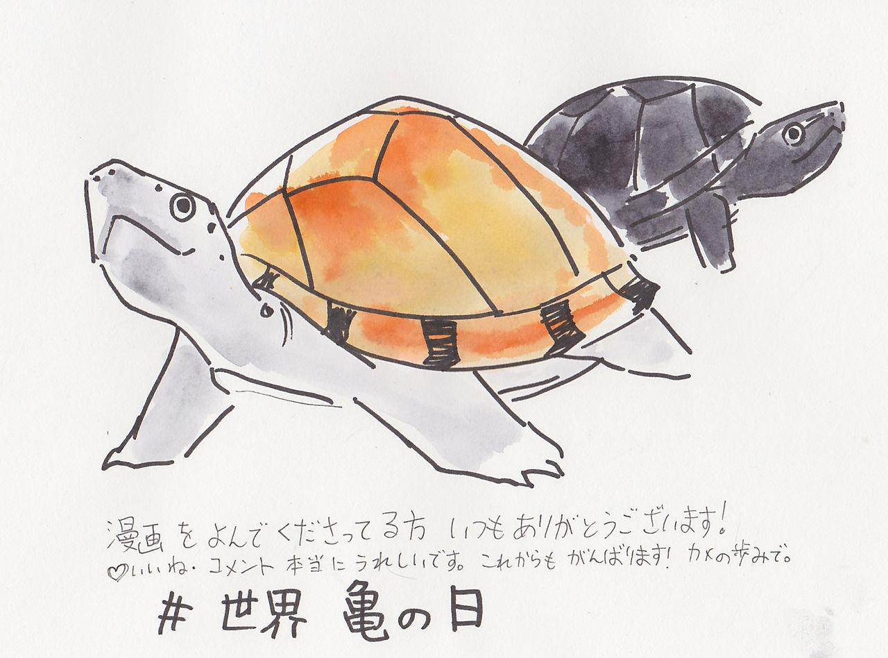 世界亀の日 記念 あみあきひこ漫画描きブログ