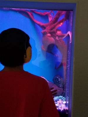 20190726_114519