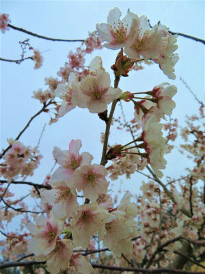 IMG_5992 (2)