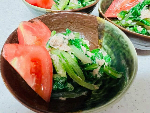 うまい菜 不断草 初収穫 O 美味しさ大発見 元気でamigo