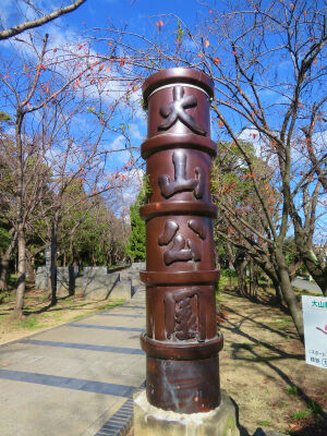どんぐりコロコロ 大山公園に行ってきたよ 元気でamigo