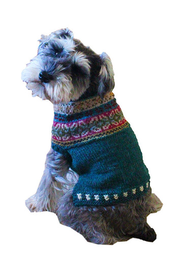 maedadogknit1