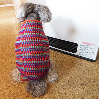 編ミ ゴ前田の編み物ブログ ハマナカ カナディアン3sでアフガン編み犬セーター4