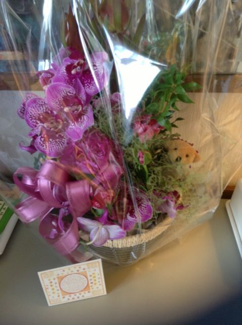 ミミ 木原光知子 さんにご挨拶 歌はami ともだち ブログ