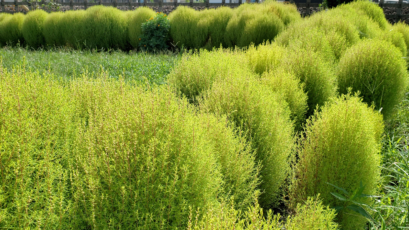 徒然なる阿弥慈の熊谷さんぽ