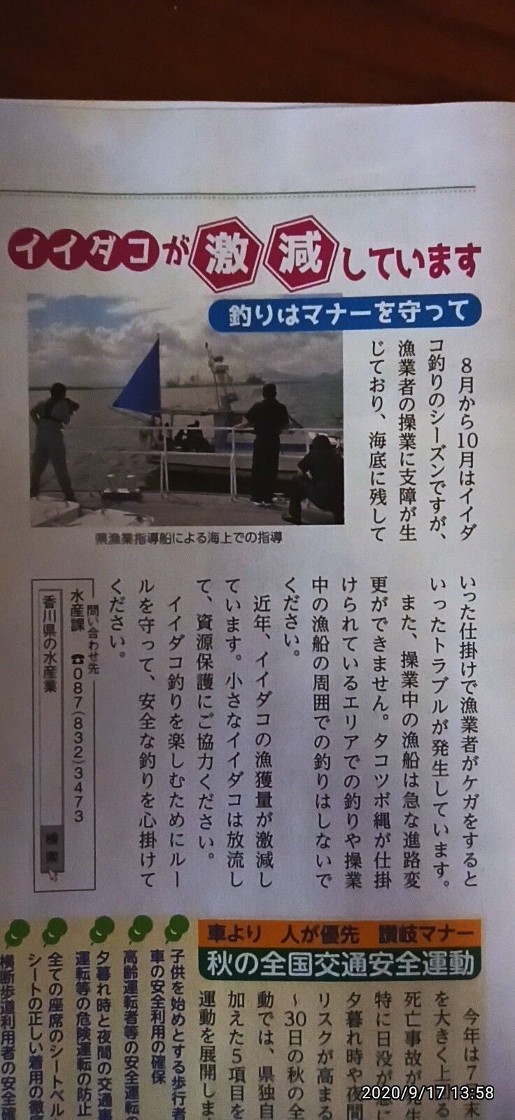 瀬戸のイイダコ釣りシーズン入り ａｍｉｎのつれづれなる日記