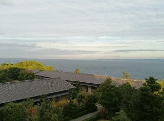 IMG_20201130_074229