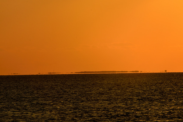 DSC_8029