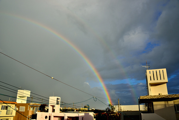 DSC_9648