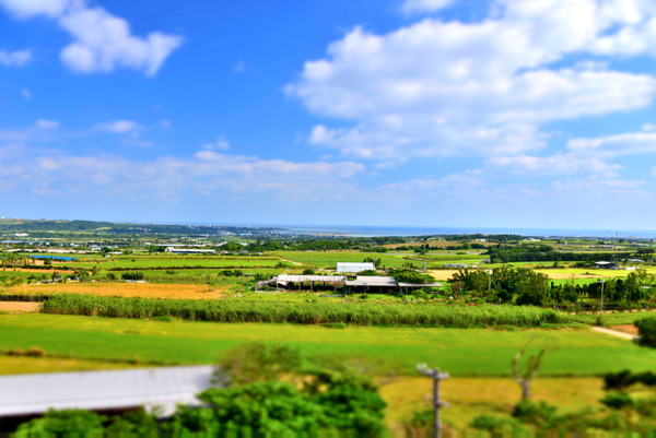 DSC_8081-1