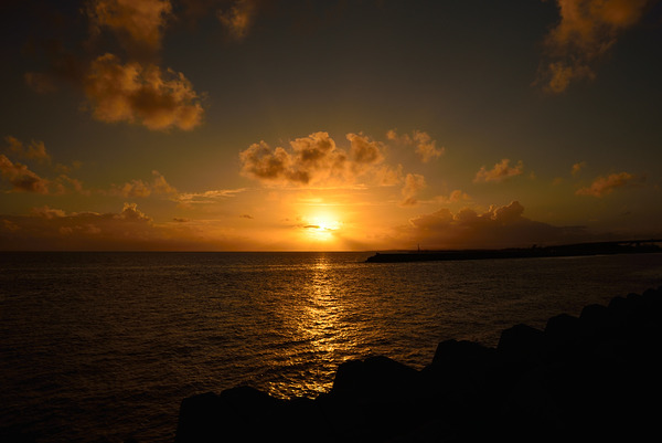 DSC_9605