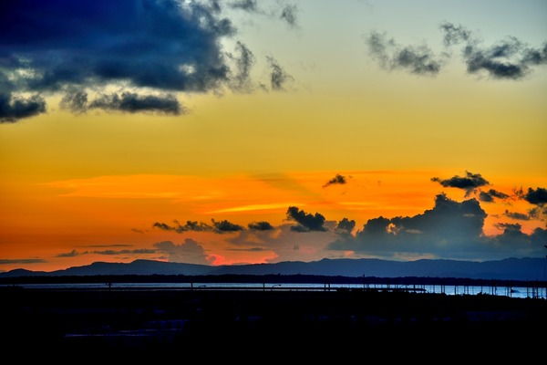 DSC_0778