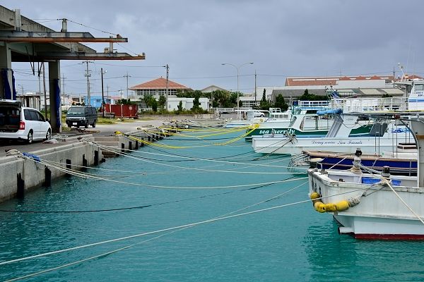 DSC_0966