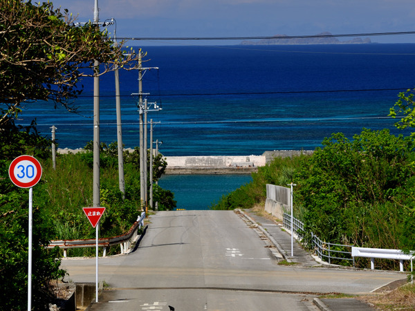 DSC_1099
