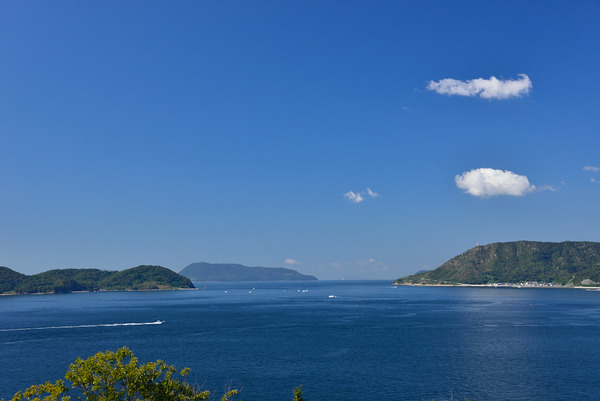 DSC_9398_01