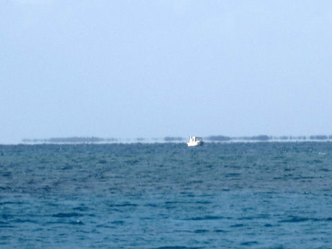 IMG_1956-1