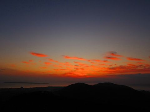 IMG_1467-1