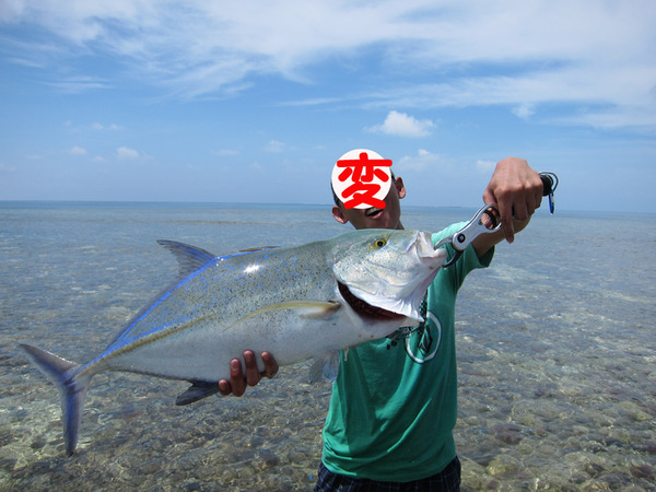 IMG_0550¤Î¥³¥Ô¡¼