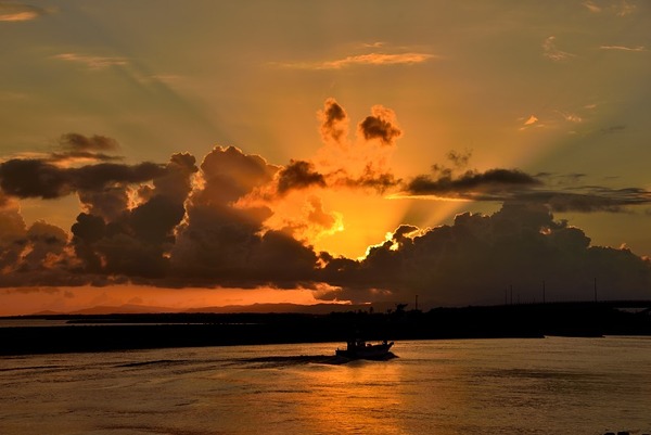 DSC_7681