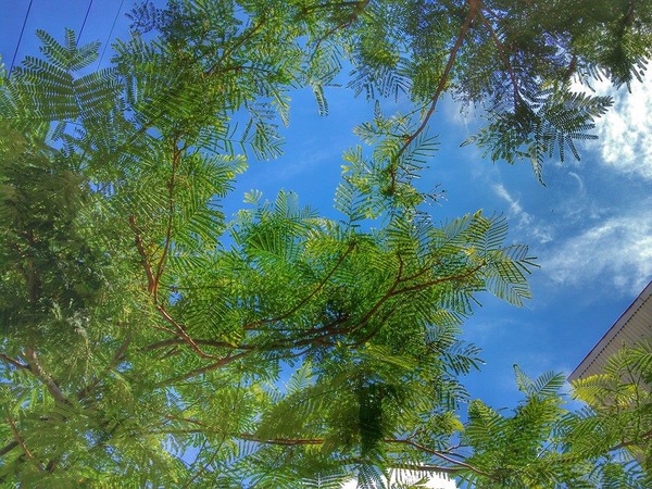 11817177_827151804033302_7563606292516568311_n